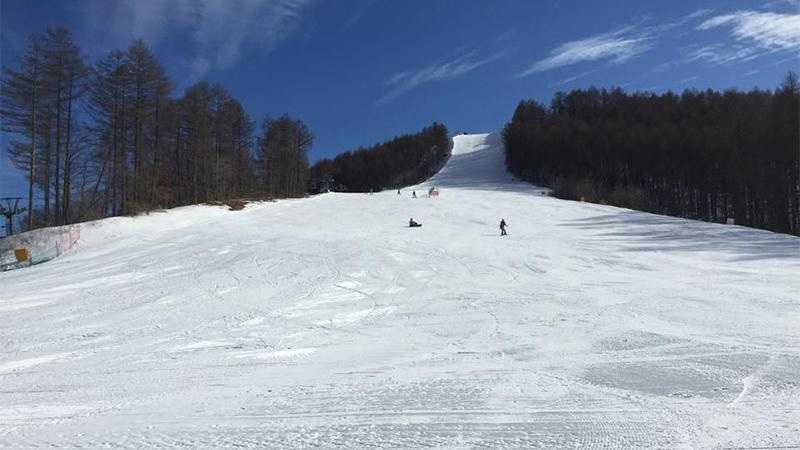 子どもと雪遊び・そり遊びができるスキー場25選｜スキー市場情報局