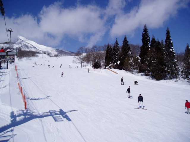 赤倉 妙高エリアのスキー場一覧 スキー市場