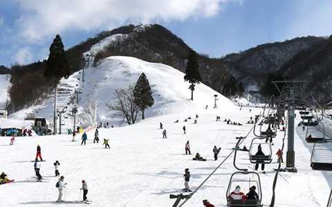 京都発のスキーツアー スノボーバスツアー日帰り 宿泊予約 トラベルマルシェ