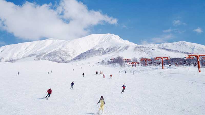 北海道で冬を遊びつくそう おすすめスキー場を徹底解説 トリッパー