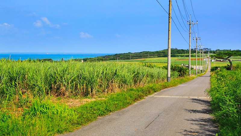 南国リゾートを満喫 沖縄 小浜島で優雅な休日 トリッパー