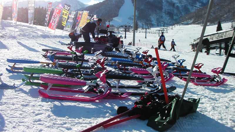 ファミリーにおすすめ 長野県白馬五竜 47 スキー場 トリッパー