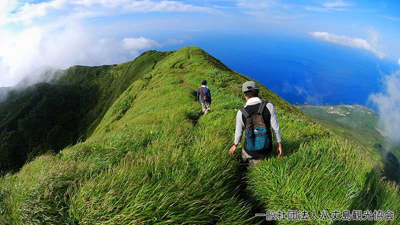 八丈島旅行のベストシーズンは オススメの時期を紹介します トリッパー