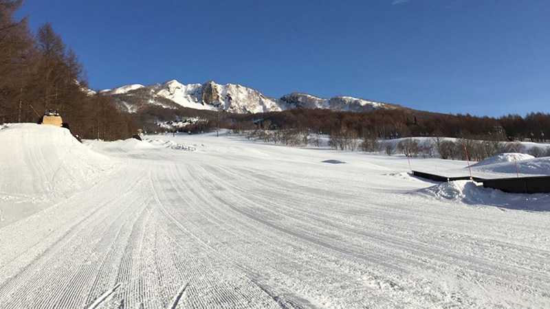 新潟県のスキー場 カテゴリー別人気ランキング トリッパー