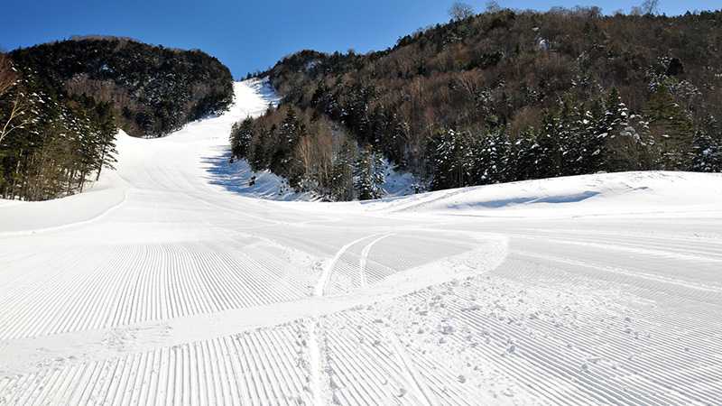 群馬県のスキー場 カテゴリー別人気ランキング トリッパー
