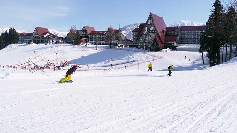 新潟県のスキー場 カテゴリー別人気ランキング トリッパー