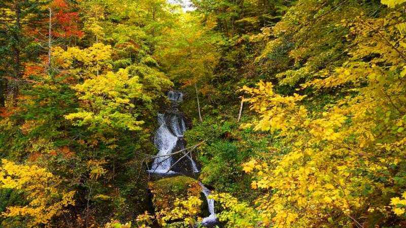 札幌市民の水源地 紅葉の豊平峡ダムには驚きがいっぱい トリッパー