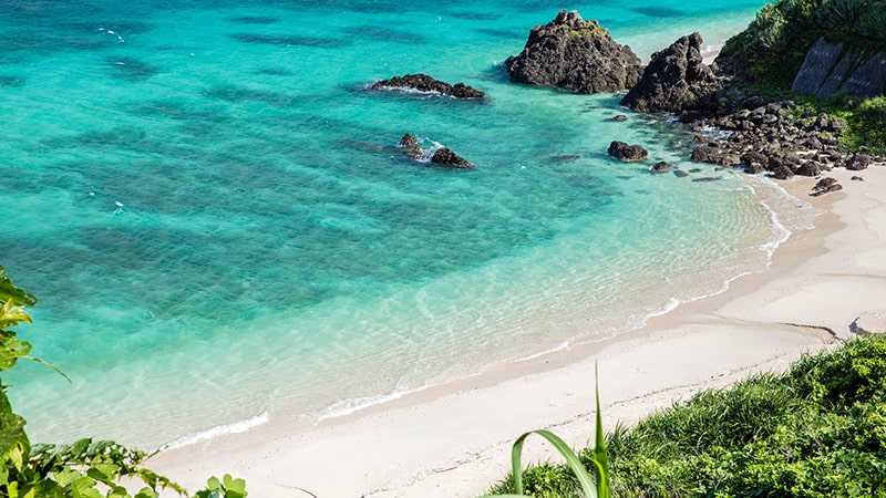 沖縄より綺麗な海も 奄美大島でおすすめな海 ビーチ15選 トリッパー
