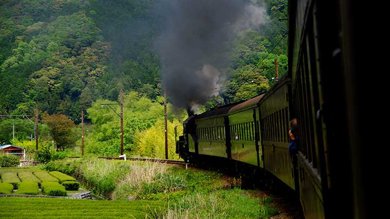 子供も大人も楽しめるてっちゃん体験 茶畑を進む大井川鉄道のｓｌに乗ってみた トリッパー
