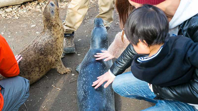 ワイルドで行こう ノースサファリサッポロで動物と触れあいまくる トリッパー