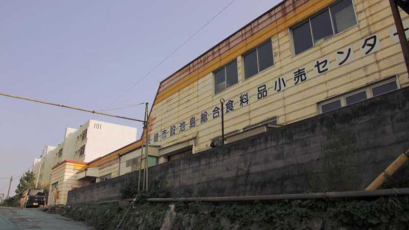 非日常との遭遇 ちょっとした冒険気分を満喫 かわいいのら猫の楽園 池島 トリッパー